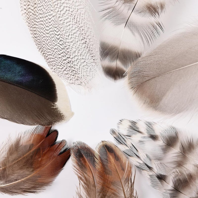 MAOFENG 210pcs 7 Styles Natural Bulk Feathers Assorted Mixed Feathers for DIY Crafts Dream Catcher Wedding Hair Hats Decoration,Guinea Fowl Feathers - Image 3